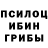 Псилоцибиновые грибы Psilocybe Kki P