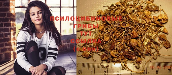 гидра Алзамай