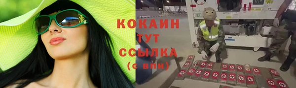 СК Алексин